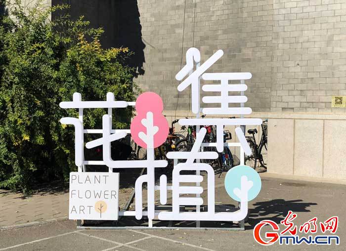 北京国际设计周花植集艺术节开展 十一假期来这里浪