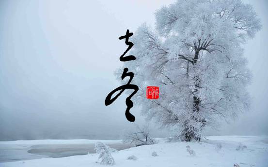 【网络中国节·二十四节气】立冬：乍暖阳春飘赤叶，经寒高木尽精条
