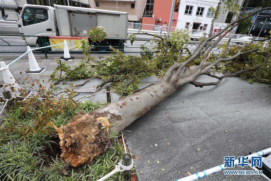 灵宝大型汉墓群发掘古墓葬76座 出土文物720余件