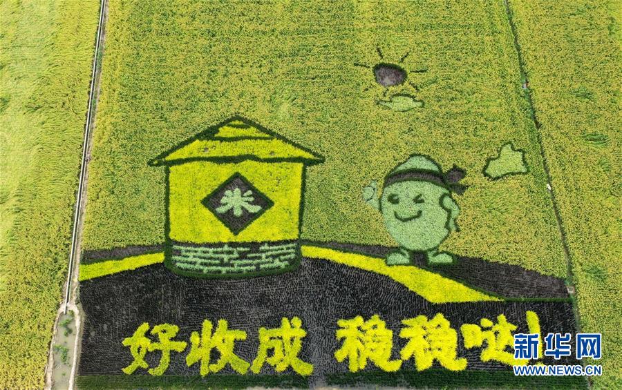 探索越剧多元传承路径：深拥“老朽” 跨界“新秀”