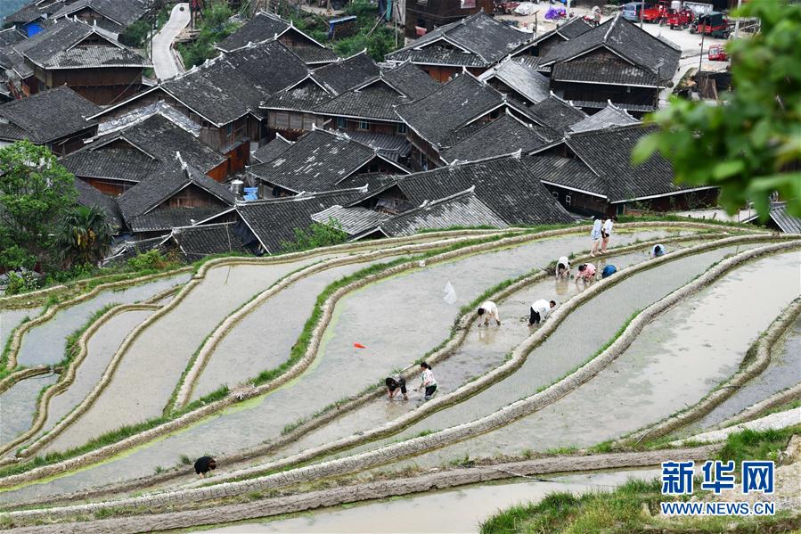 从江县人口_从江县地图