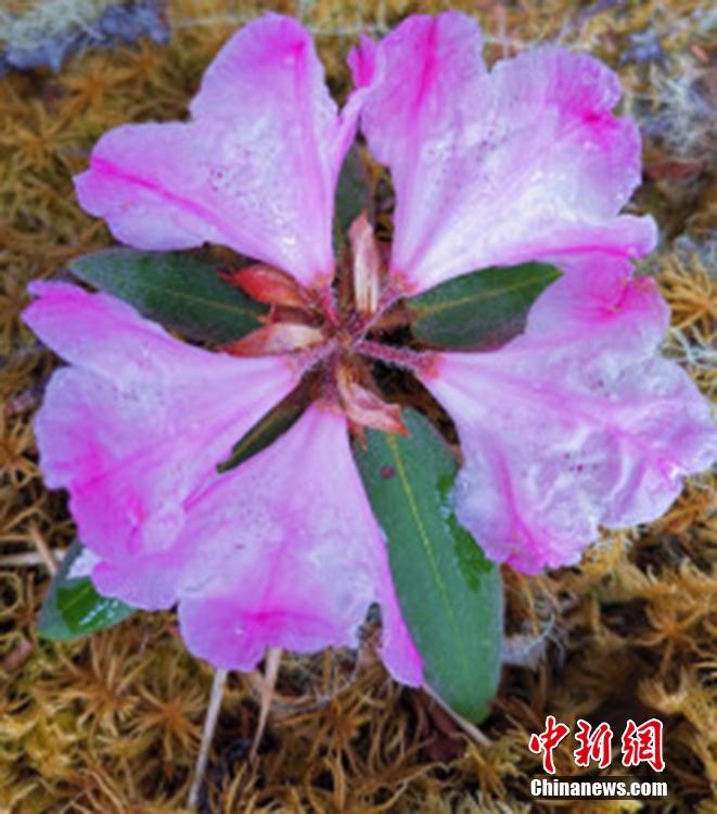 《下一站是幸福》打造现实主义优质情感剧