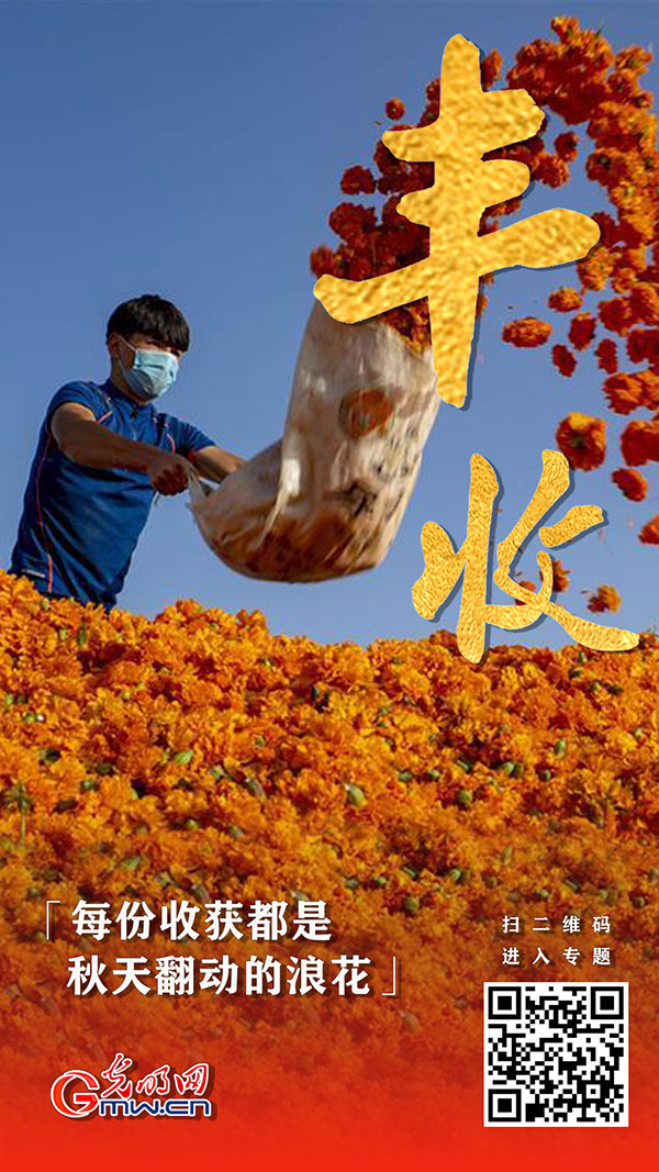 【海报】中国农民丰收节 共享丰收喜悦