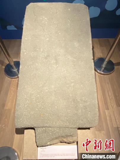 海南考古七十年展览全方位呈现“水陆”考古成果