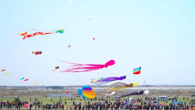 第17届世界风筝锦标赛暨万人风筝放飞活动举行