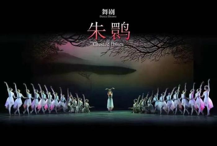 现象级舞剧如何产生？上海歌舞团团长：对创排是“慎之又慎，精益求精”