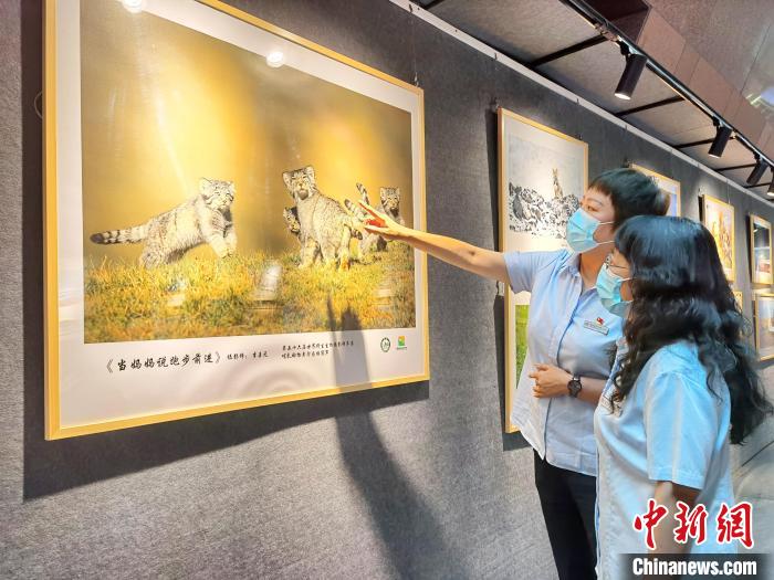 首届祁连山国家公园青海片区生态艺术展在西宁启幕