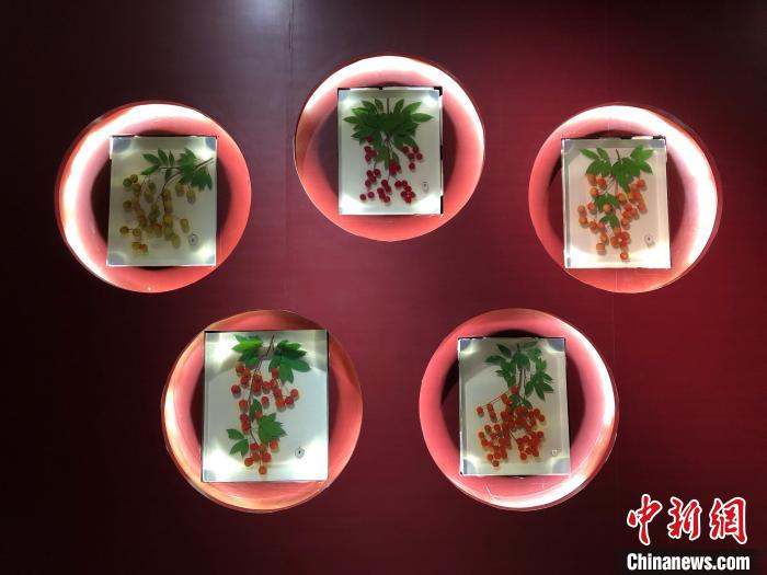 80余件“荔枝”展品亮相重慶文化宴帶著科普味