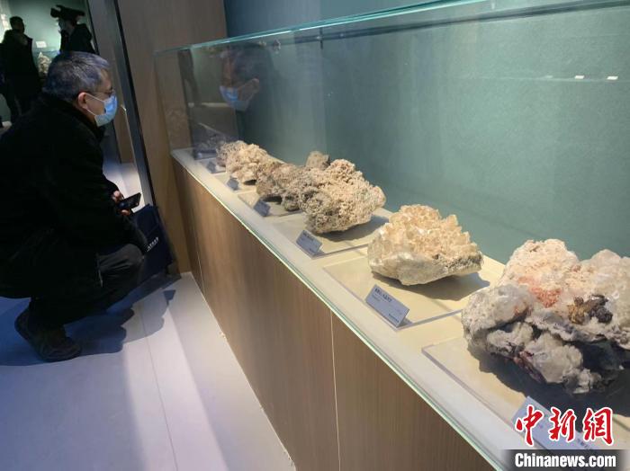 湖北地质博物馆恢复开馆 展出万余件奇石异宝