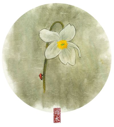 好雨时节 润物无声(二十四节气·雨水)