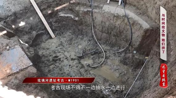 北京文博丨【考古“女”队员】“伯鱼簋”当年下葬竟被盖错了盖子