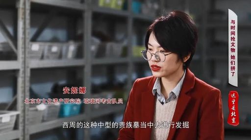 北京文博丨【考古“女”队员】“伯鱼簋”当年下葬竟被盖错了盖子