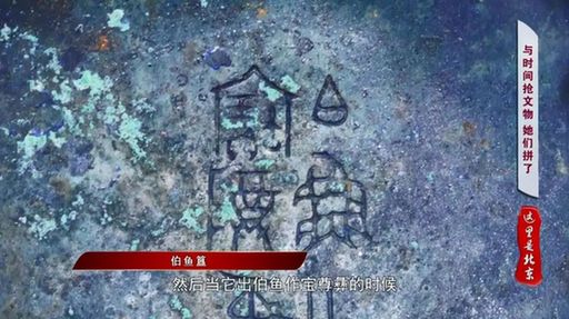 北京文博丨【考古“女”队员】“伯鱼簋”当年下葬竟被盖错了盖子