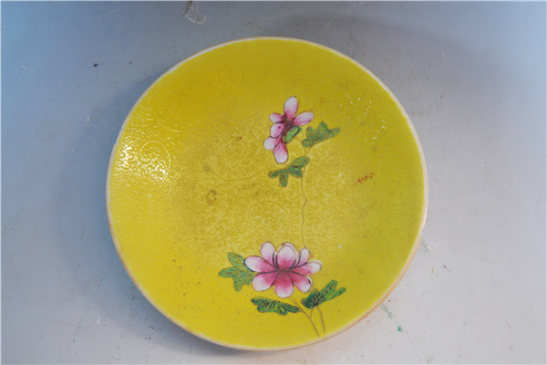 【5·18国际博物馆日】动画|小众却惊艳!这些有趣的专题博物馆你去过几个? 【5·18国际博物馆日】动画|小众却惊艳!这些有趣的专题博物馆你去过几个?