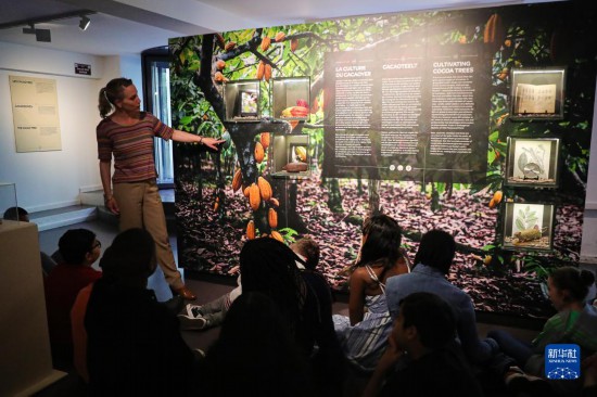 走进比利时布鲁塞尔的巧克力主题博物馆