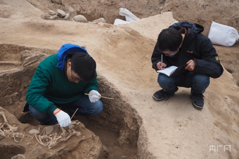 文化和自然遗产日 | 青海大地历史遗珍星辉闪耀