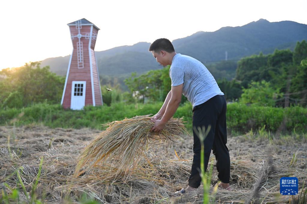 台湾规划师李佩珍：在乡村振兴中见证两岸融合