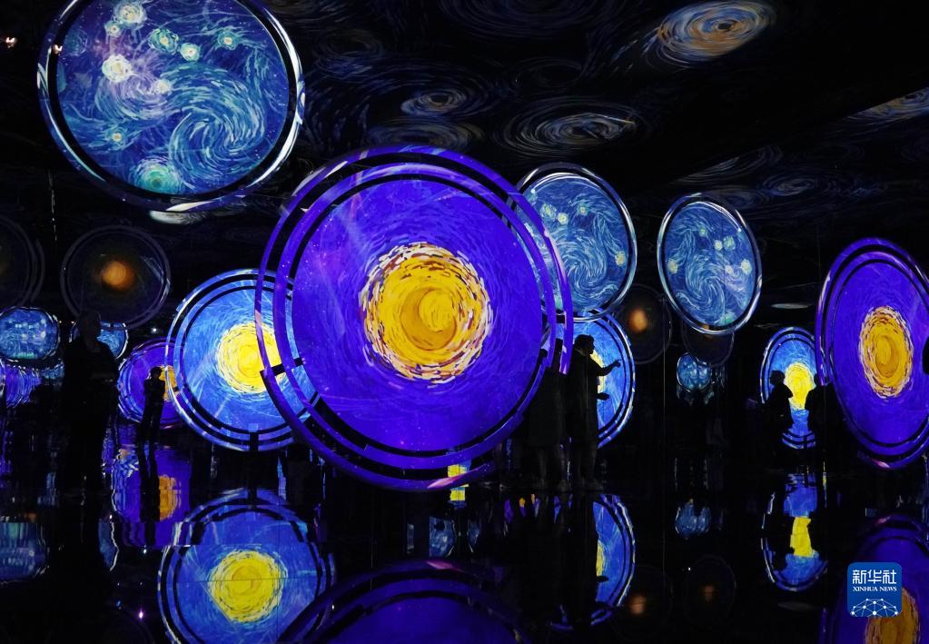 “梵高,库勒慕勒美术馆的杰作”展览在罗马举行