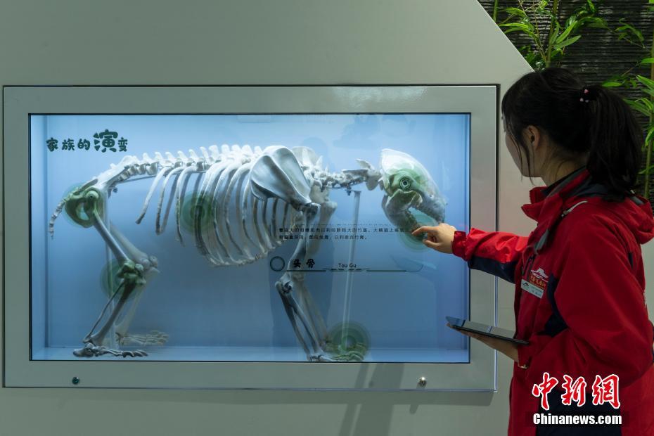 四川瓦屋山大熊猫国家公园博物馆即将开放
