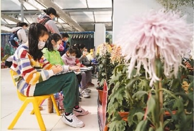 北京:金秋赏菊正当时