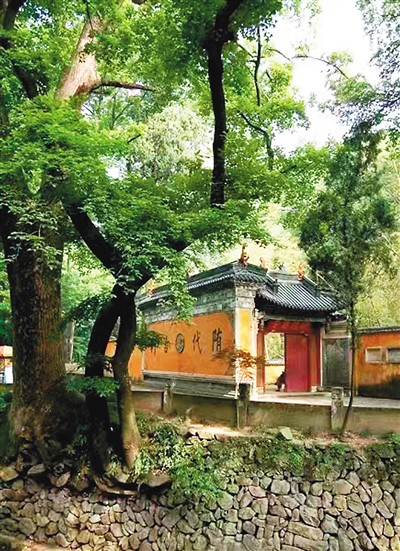 神奇天台山