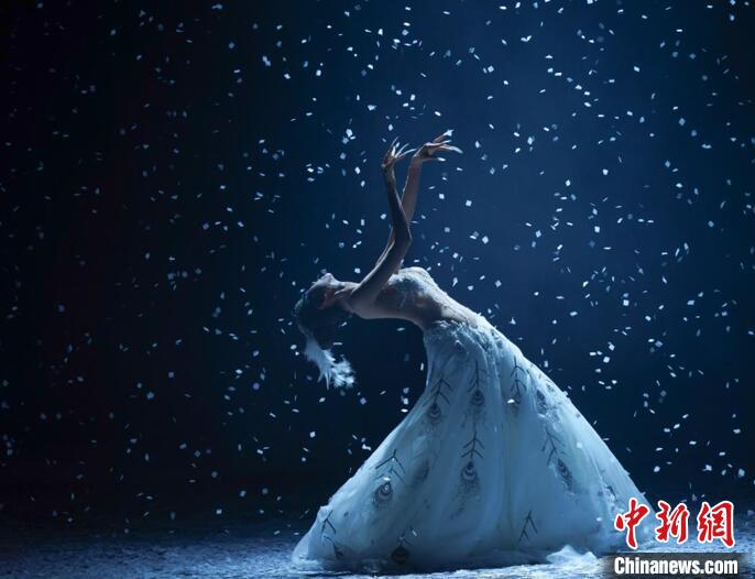 杨丽萍率《孔雀》舞团表态南京