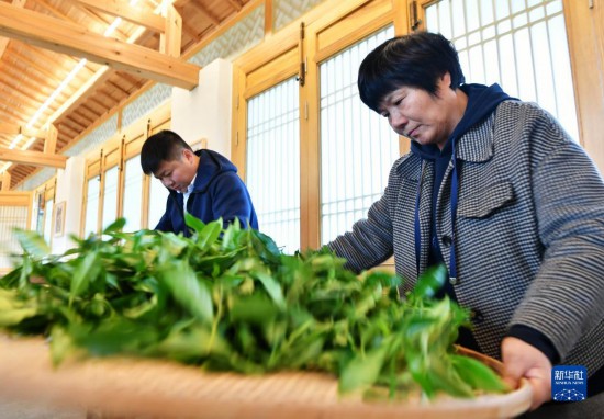 走进武夷山，来看武夷岩茶“岩骨花香”的奥秘