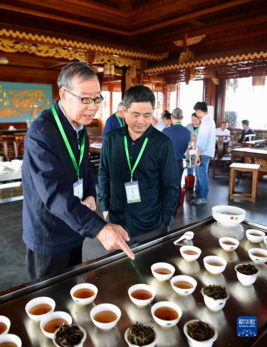 走进武夷山，来看武夷岩茶“岩骨花香”的奥秘