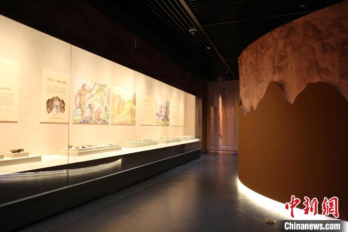 展览展出了周口店遗址的表态139件(套)文物。　太原市博物馆供图