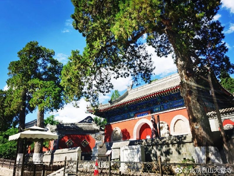 博物馆之城过大年丨春节期间博物馆延时开放来啦！