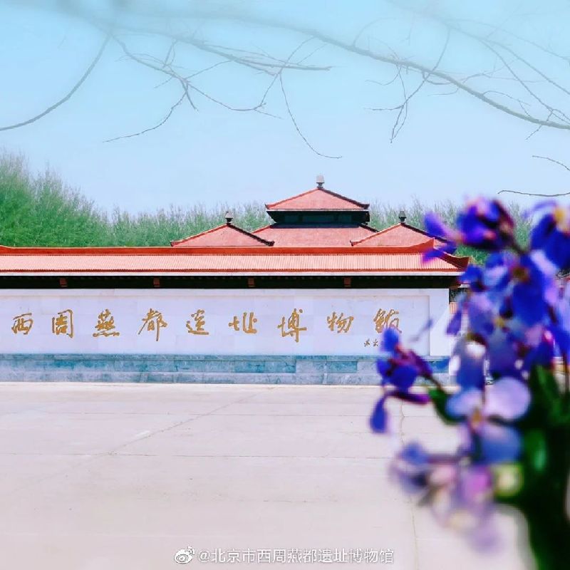 博物馆之城过大年丨春节期间博物馆延时开放来啦！