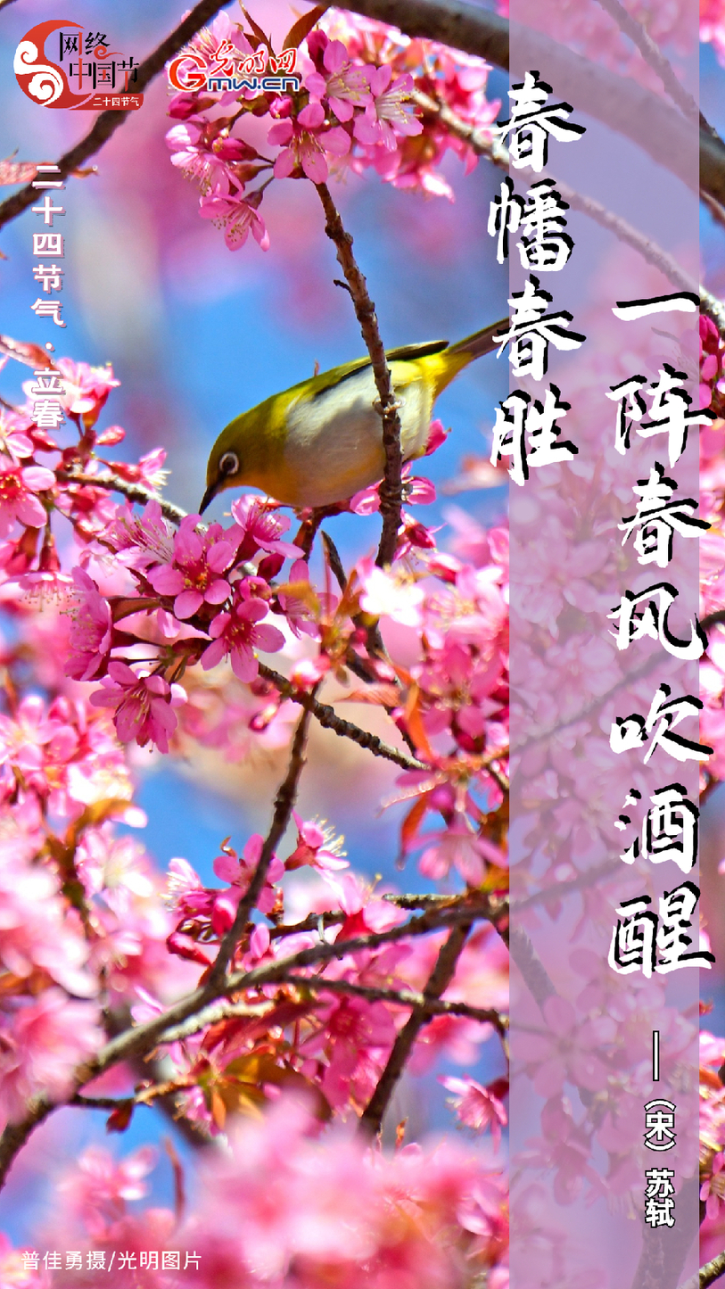 【节气里的大美中国】立春 | 春回大地 万象更新