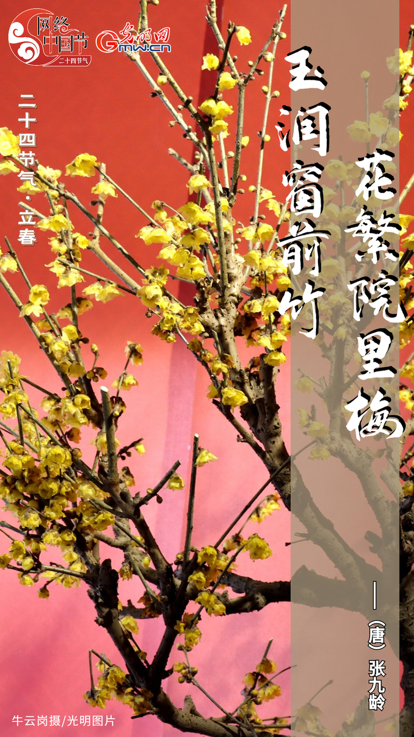 【节气里的大美中国】立春 | 春回大地 万象更新