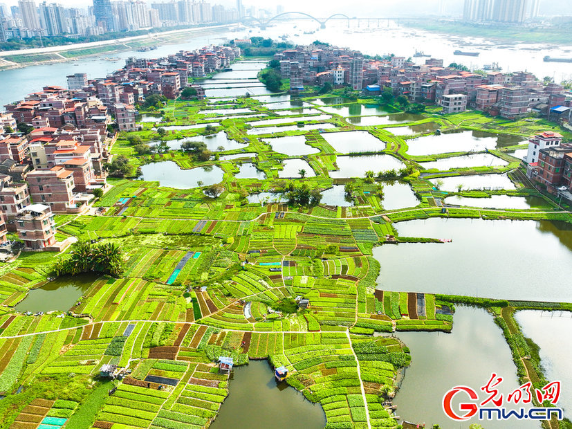 【节气里的大美中国】雨水丨河开雁归迎春到