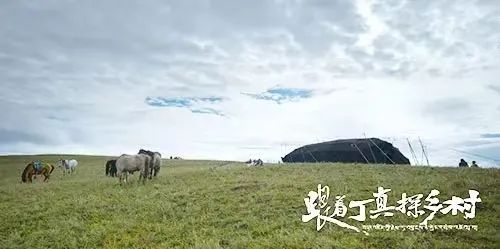 领略大美甘孜 书写动人故事 《跟着丁真探乡村——圣洁甘孜·“真”选好物》 沉浸感受民族文化 收视魅力强