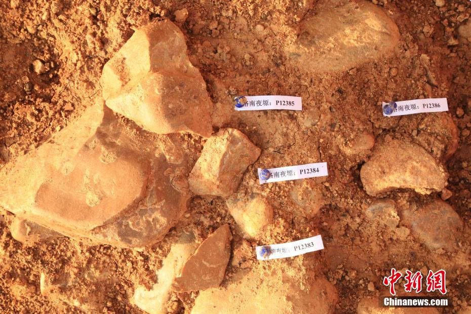 考古确认陕西洛南盆地百万年前已有人类活动