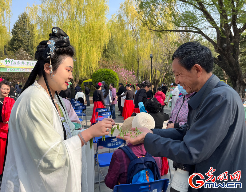 【组图】第十三届柳文化节开幕 市民与“柳”互动