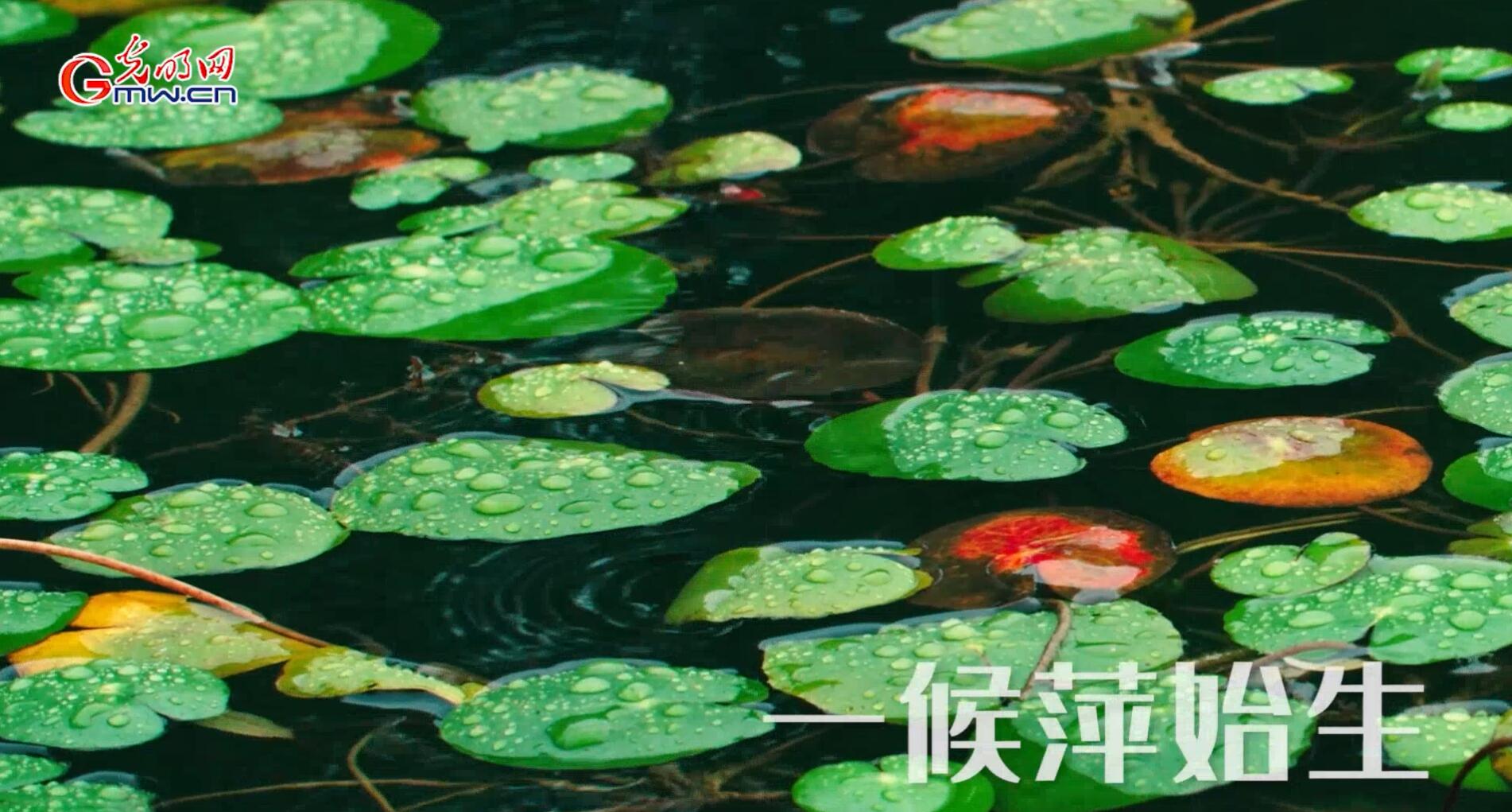 【节气里的大美中国·谷雨】空间音频丨听见谷雨