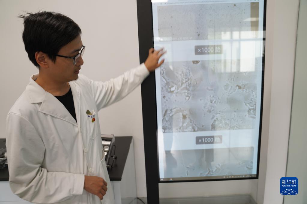 新华全媒+丨解码文化自信的城市样本丨景德镇：工业遗存之上，城市活起来