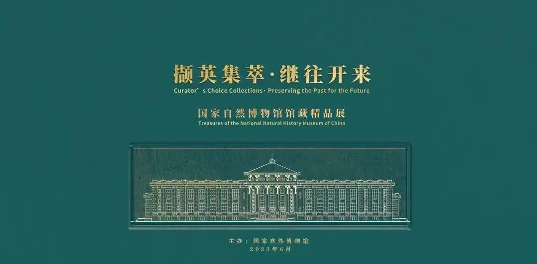 文博展讯丨七月，北京地区二十余项文博新展邀您来赏