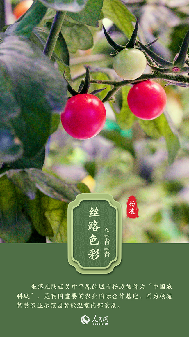 美在丝路：当中国传统色彩遇到丝绸之路