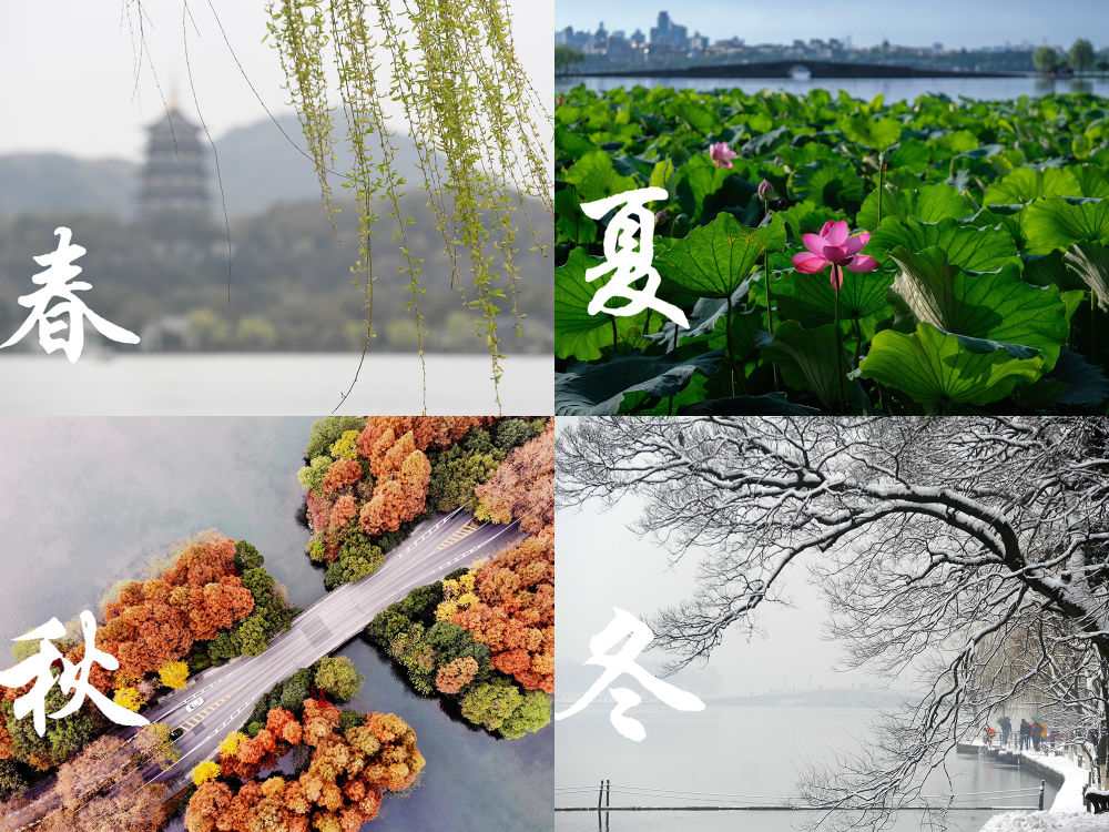 在杭州，触摸亚运之城的文化脉动