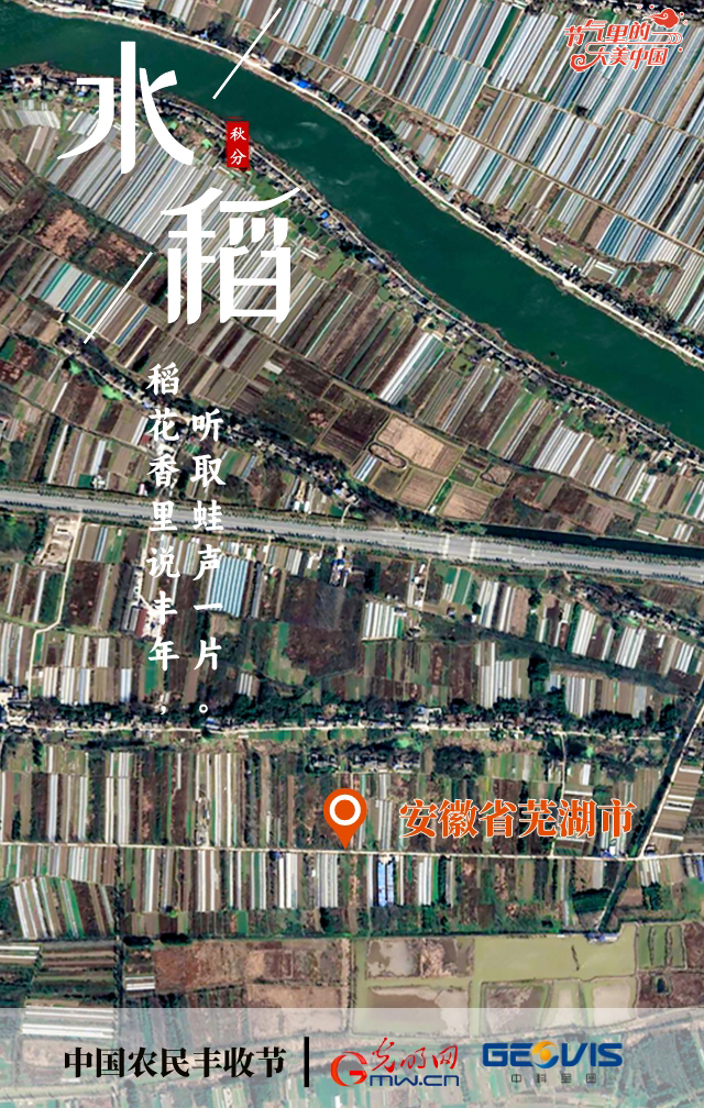 【节气里的大美中国】中国农民丰收节丨卫星镜头带你瞰诗词里的满仓丰景