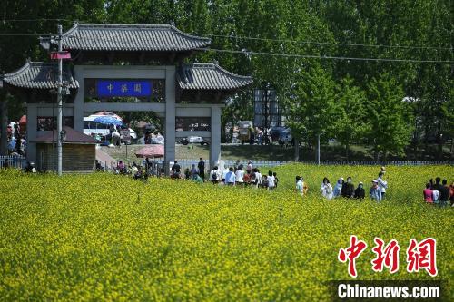 京杭对话：一脉清水通南北 共绘区域协调发展新图景