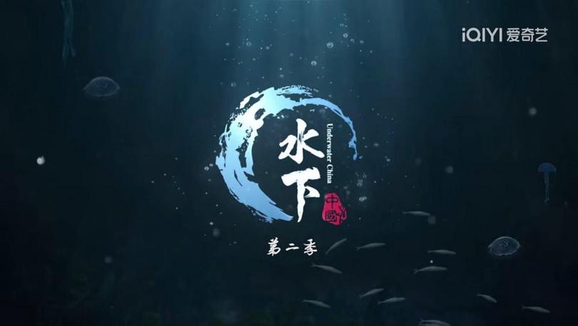 北京大视听丨《水下中国（第二季）》：敬畏生命，寻找与自然的共鸣