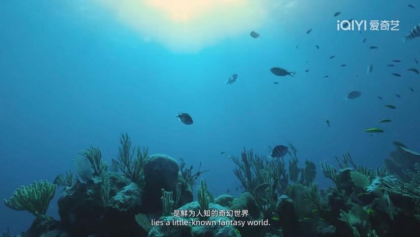 北京大视听丨《水下中国（第二季）》：敬畏生命，寻找与自然的共鸣