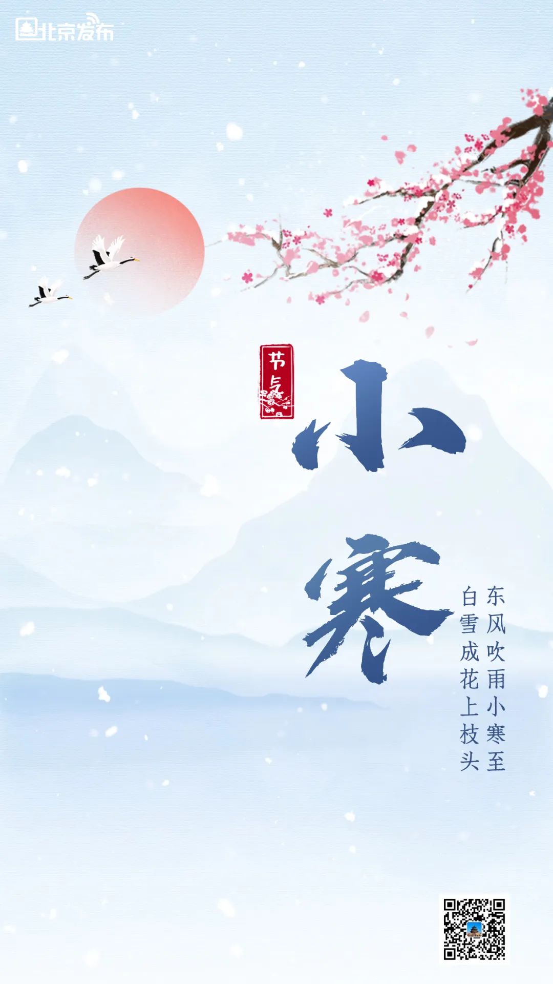 今日小寒｜小寒连大吕 欢鹊垒新巢