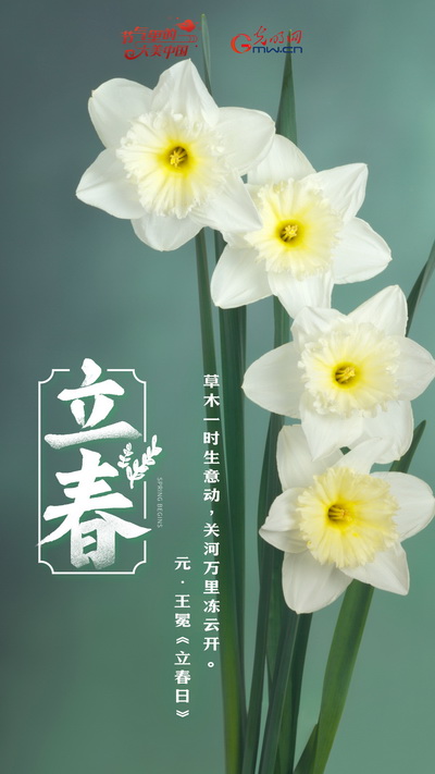【节气里的大美中国】节气PLOG丨让我们立起一个充满希望的“春”