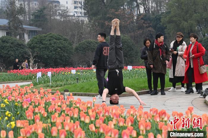 第十六届湖南世界名花生态文化节开幕 游人踏春赏花