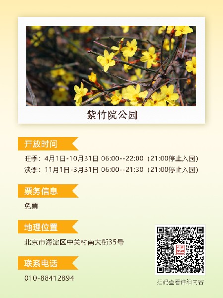 追花指南第二期！京城三月里最撩人的玉兰观赏地